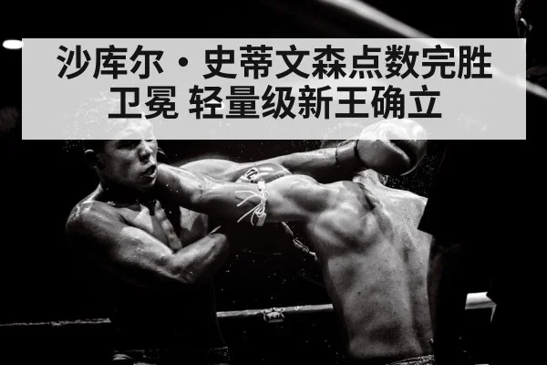 lightweight boxing match action