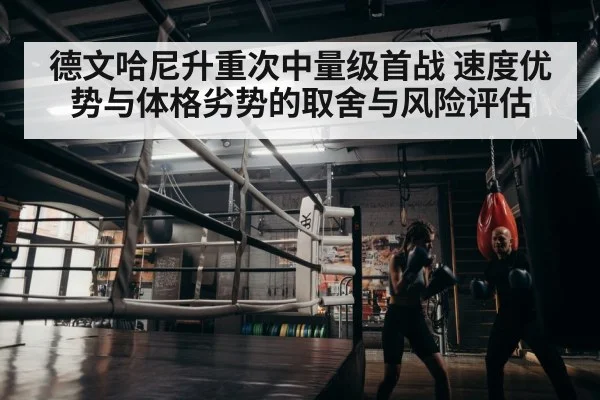 boxer training gym